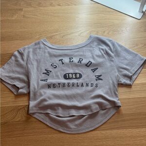 Gray Amsterdam Crop Top
